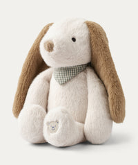 Thumbnail for Berto Dog Teddy - Sandy