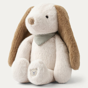 Berto Dog Teddy - Sandy