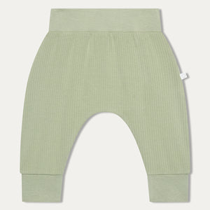 Polar Bear Novelty Jogger - Sage & Polar Bear