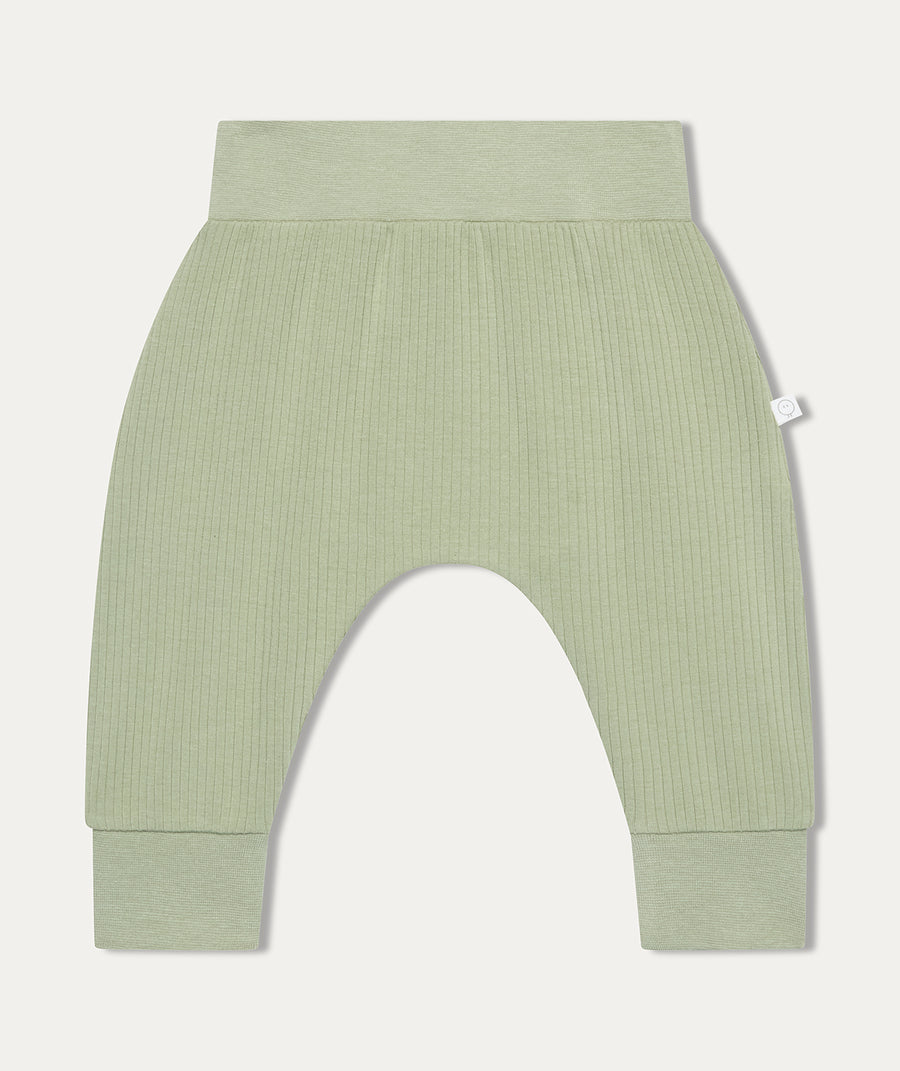 Polar Bear Novelty Jogger - Sage & Polar Bear