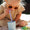 2 Pack Eco Cups - Multi