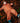 Thumbnail for Packaway Waterproof Trouser - Orange  Pheasant