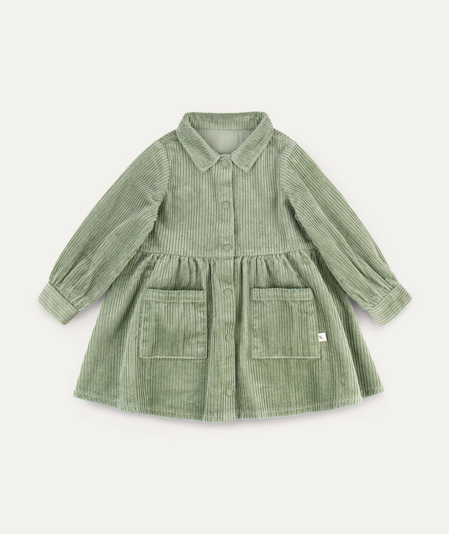 Organic Cord Shirt Dress -  Hedge Green