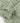 Thumbnail for Organic Cord Shirt Dress -  Hedge Green