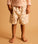 Recycled Swim Shorts -  Sausage Dog