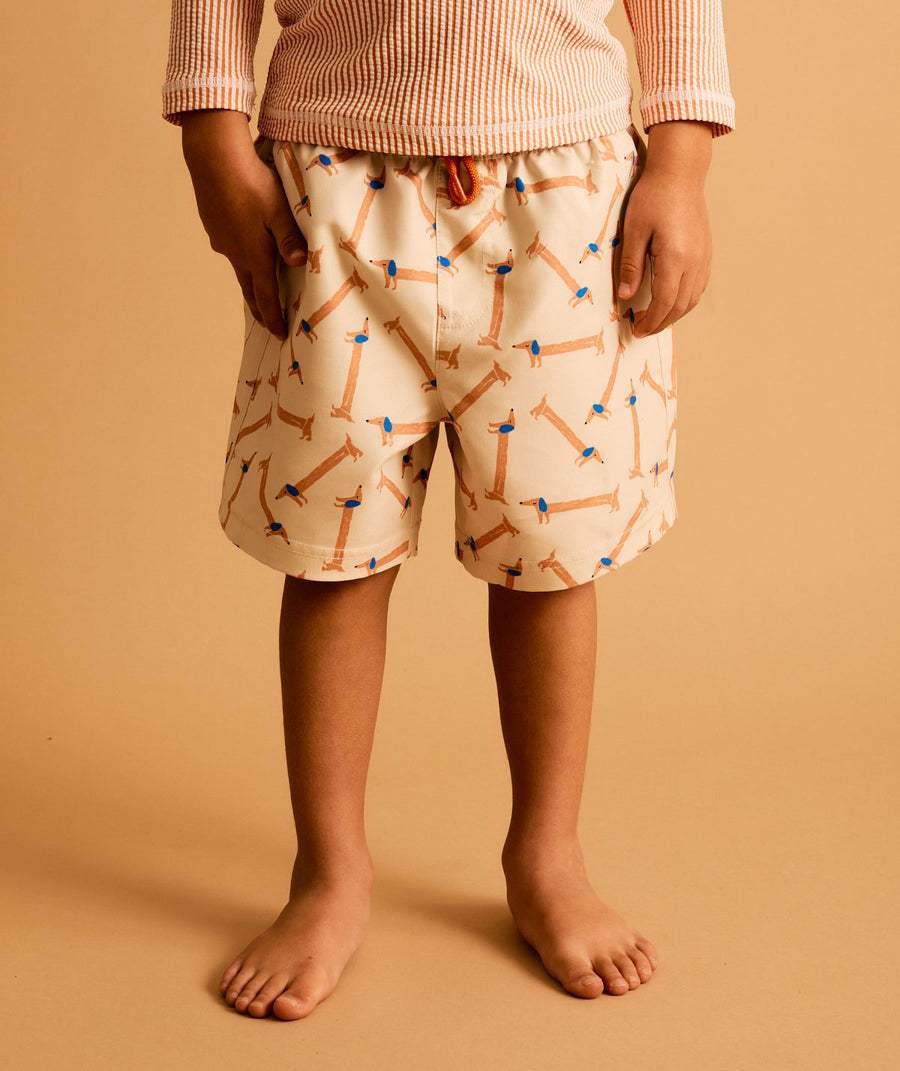 Recycled Swim Shorts -  Sausage Dog