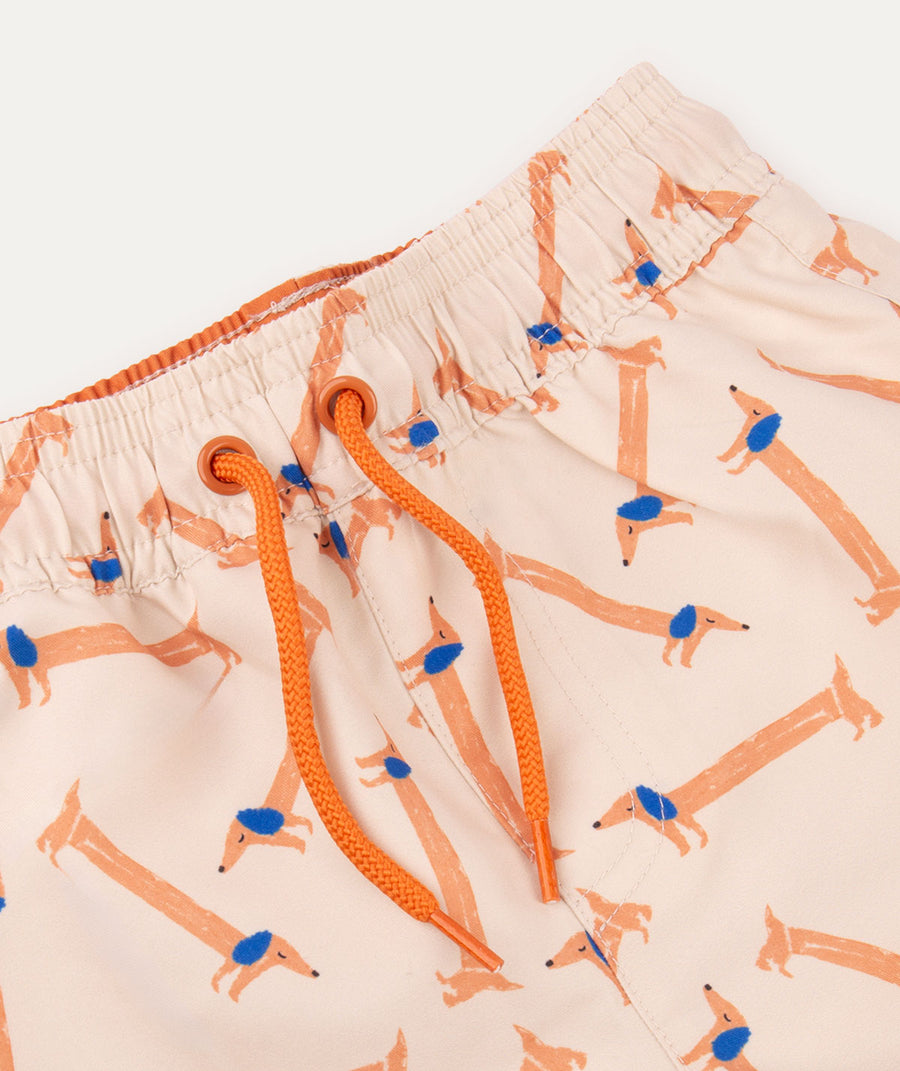 Recycled Swim Shorts -  Sausage Dog