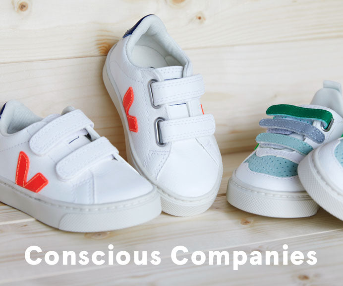 Conscious Companies
